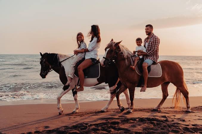 Horse Riding