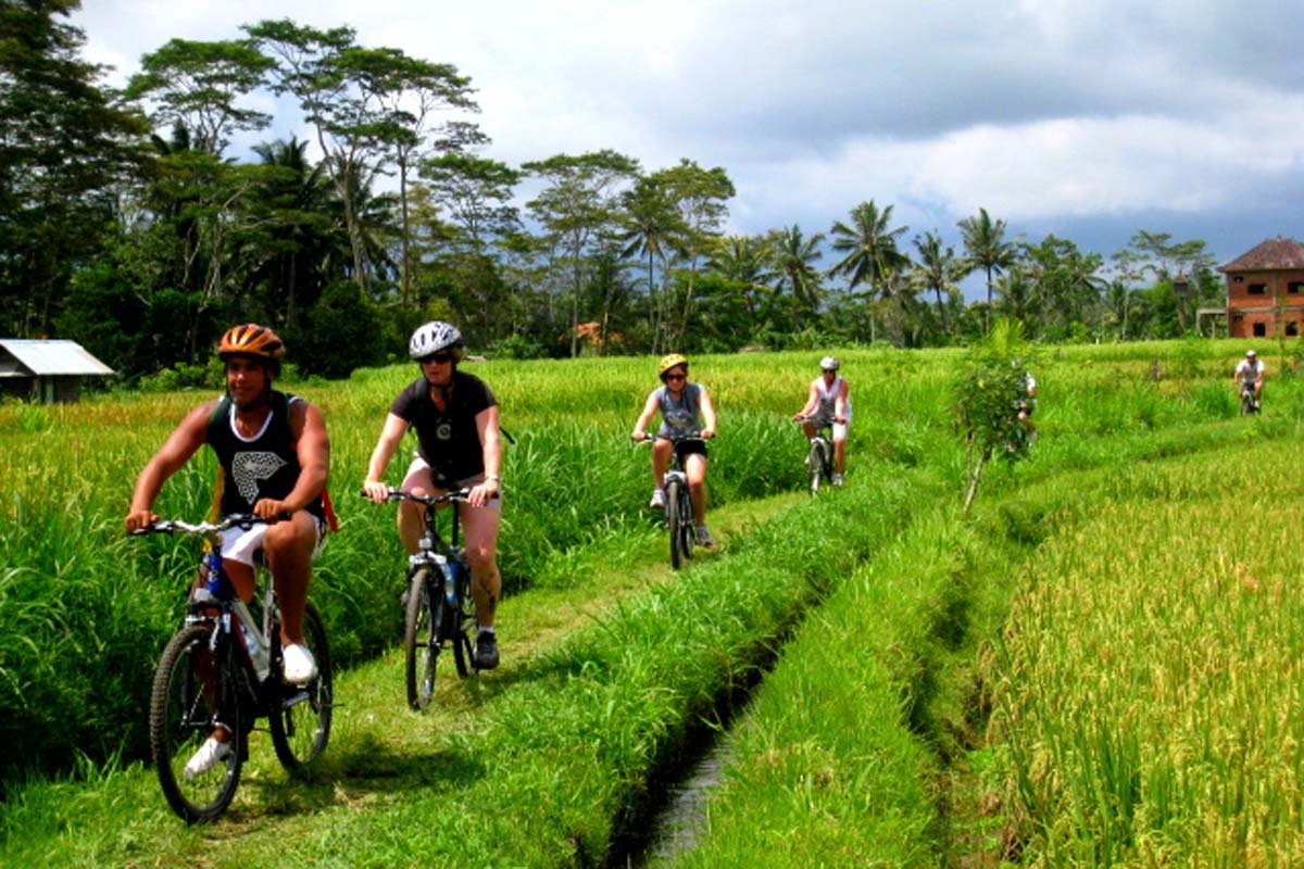 Mountain Cycling